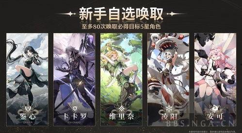 鸣潮最新爆料自选五星,自选五星角色,揭秘游戏世界神秘力量