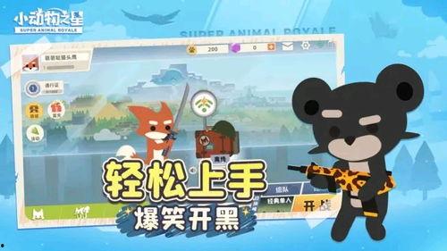 小动物之星最新爆料,最新爆料背后的精彩故事