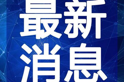 香河垃圾厂爆料视频最新,环保问题再引关注